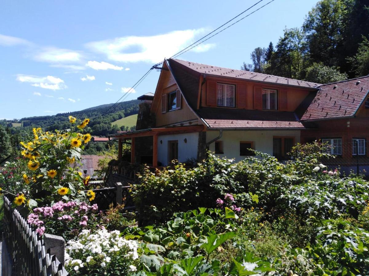 Ferienhaus Bauer Trattenbach  Exterior foto