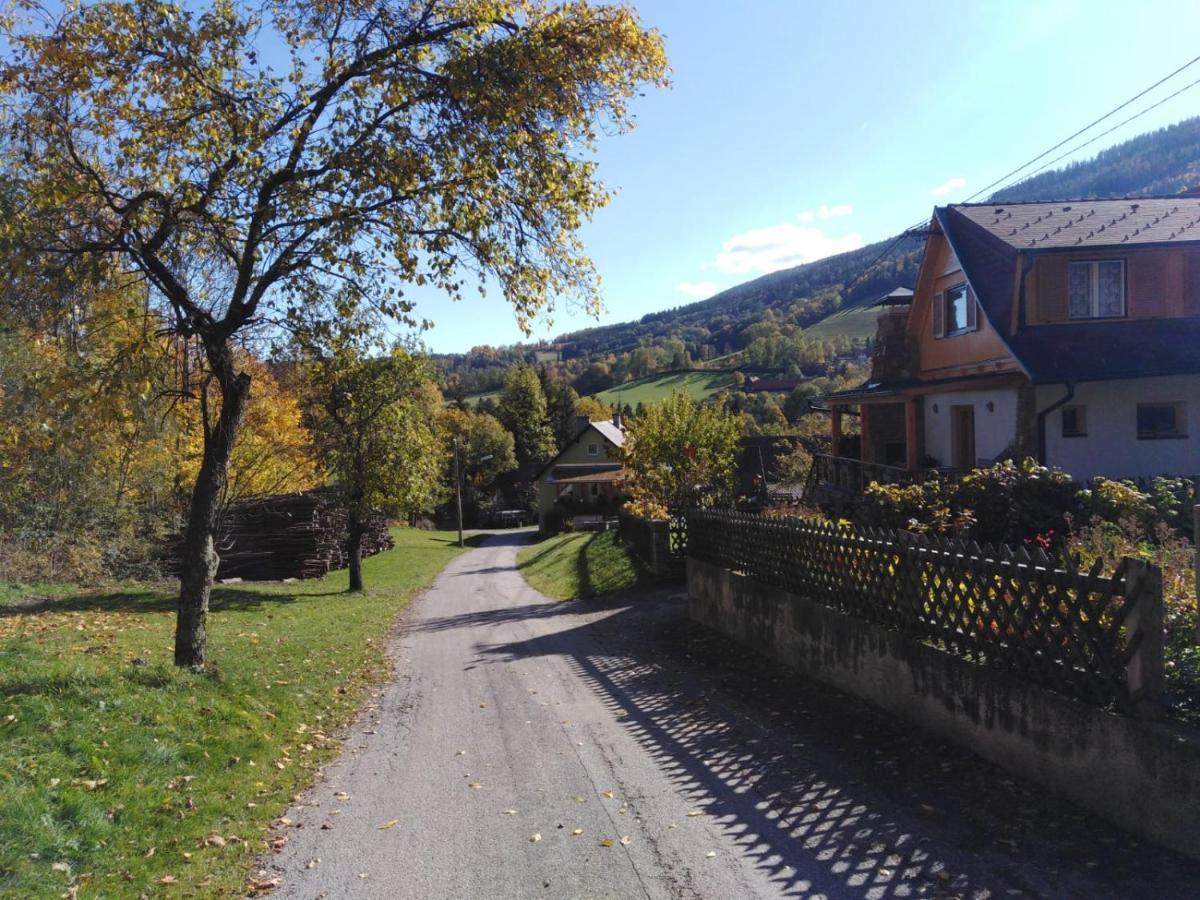 Ferienhaus Bauer Trattenbach  Exterior foto